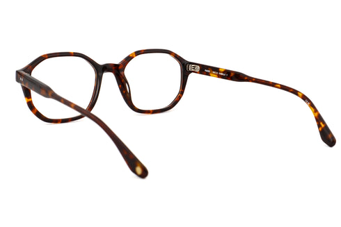 LT22 ISABELLE col.Tortoise